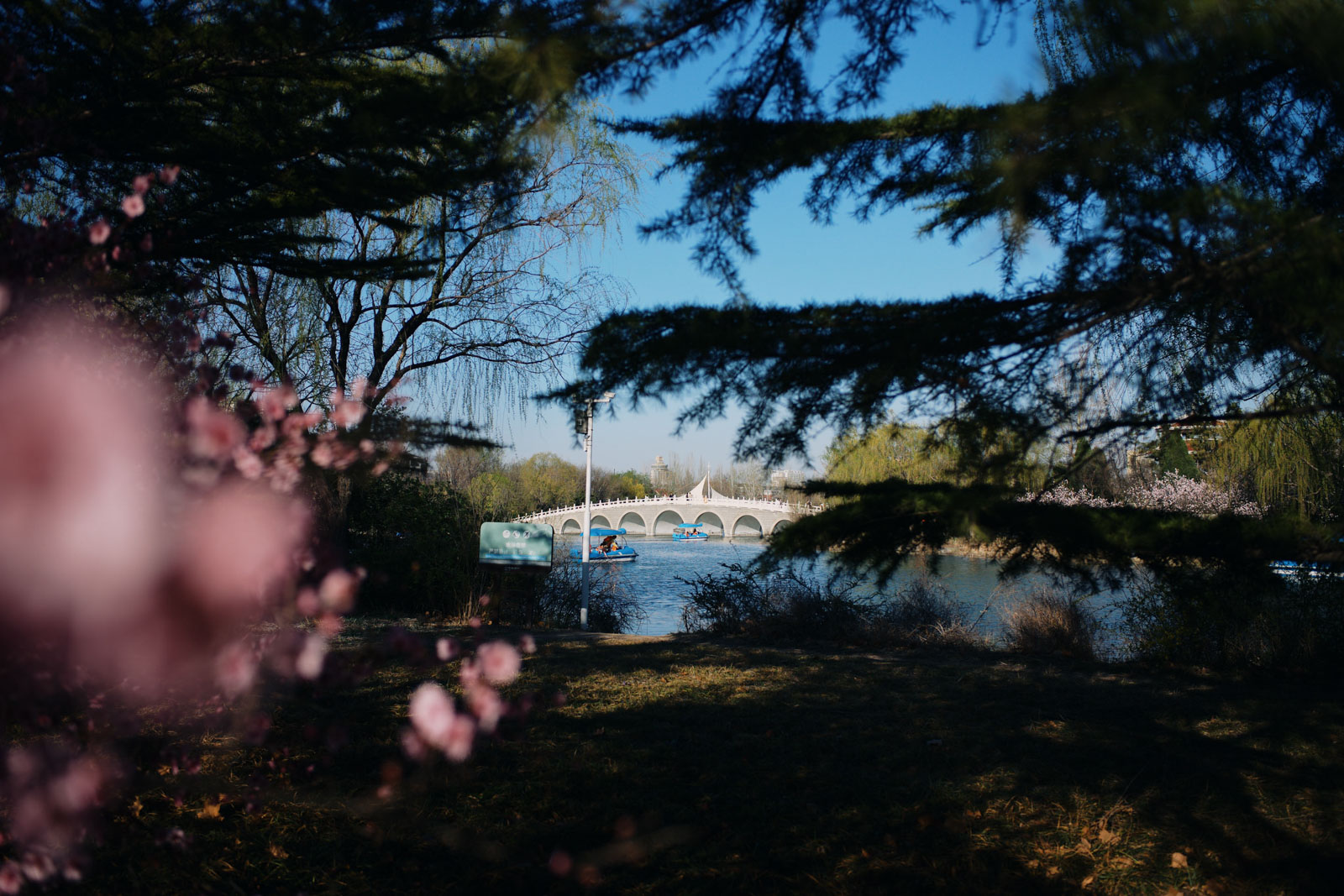A bridge seen through spring trees beside a lake